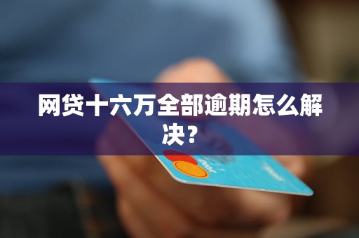 网贷十六万全部逾期怎么解决？