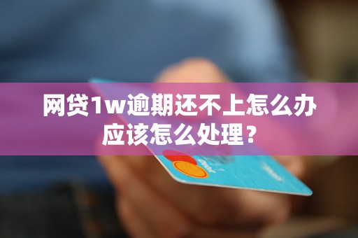 网贷1w逾期还不上怎么办应该怎么处理？