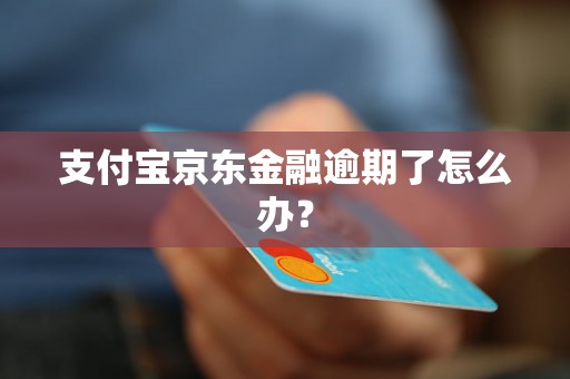 支付宝京东金融逾期了怎么办？