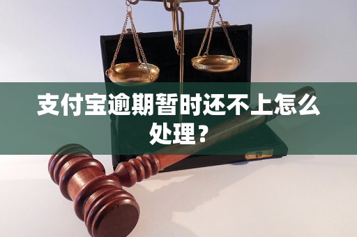 支付宝逾期暂时还不上怎么处理？