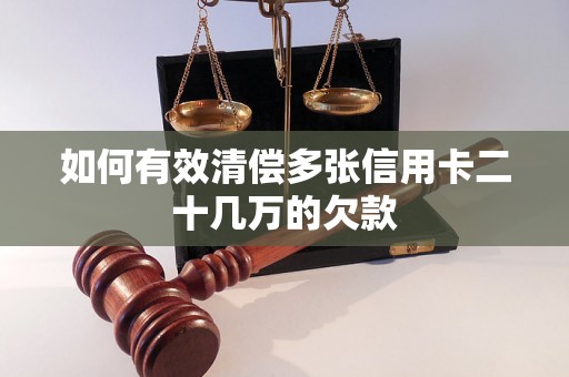 如何有效清偿多张信用卡二十几万的欠款