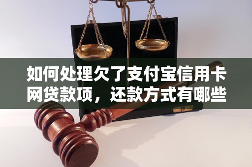 如何处理欠了支付宝信用卡网贷款项，还款方式有哪些