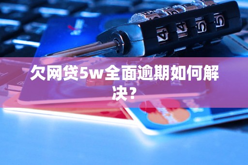 欠网贷5w全面逾期如何解决？