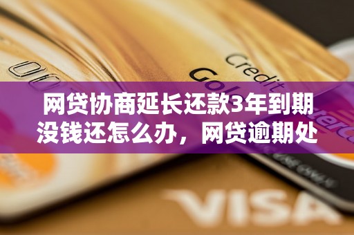 网贷协商延长还款3年到期没钱还怎么办，网贷逾期处理方案详解