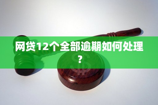 网贷12个全部逾期如何处理？