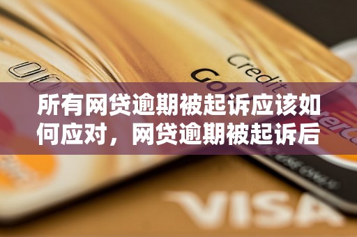 所有网贷逾期被起诉应该如何应对，网贷逾期被起诉后的解决办法