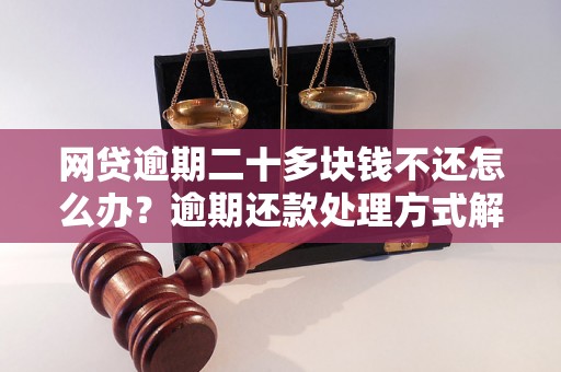 网贷逾期二十多块钱不还怎么办？逾期还款处理方式解析