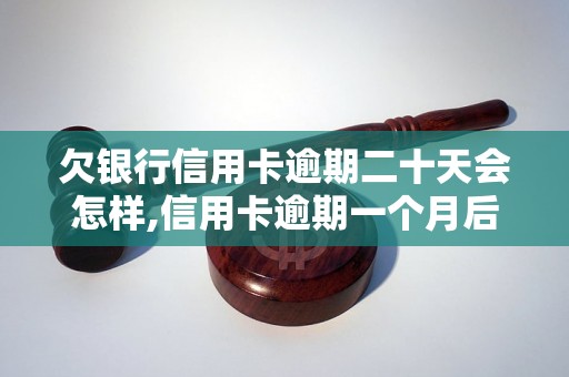 欠银行信用卡逾期二十天会怎样,信用卡逾期一个月后的后果