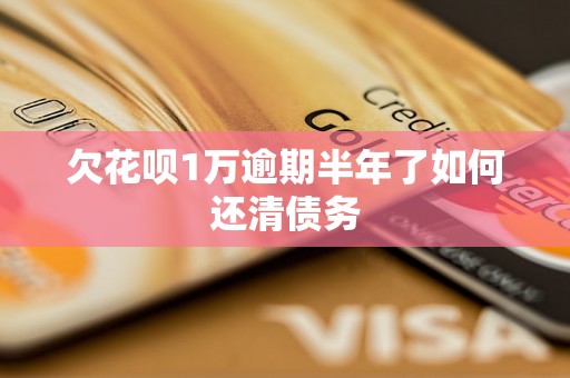 欠花呗1万逾期半年了如何还清债务