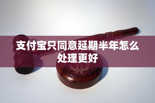 支付宝只同意延期半年怎么处理更好