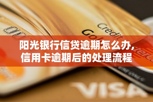 阳光银行信贷逾期怎么办,信用卡逾期后的处理流程