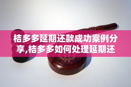 桔多多延期还款成功案例分享,桔多多如何处理延期还款