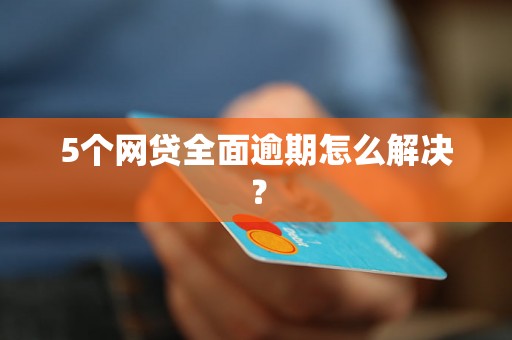 5个网贷全面逾期怎么解决？