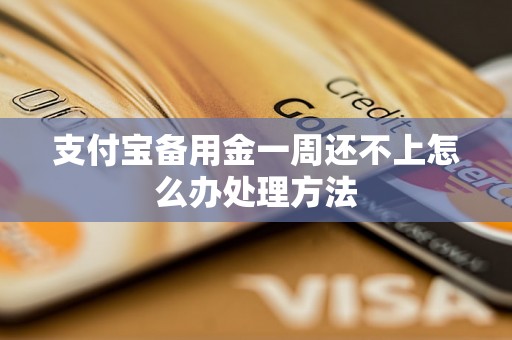 支付宝备用金一周还不上怎么办处理方法