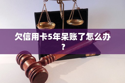 欠信用卡5年呆账了怎么办？