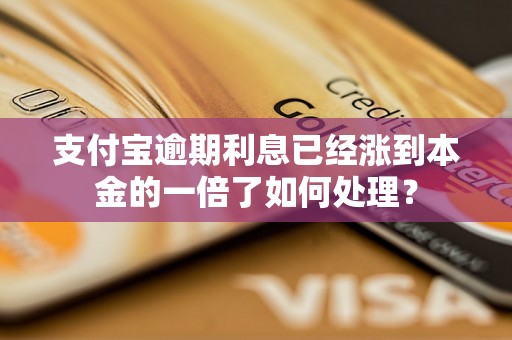 支付宝逾期利息已经涨到本金的一倍了如何处理？