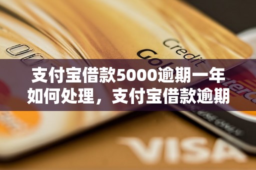 支付宝借款5000逾期一年如何处理，支付宝借款逾期后果严重吗