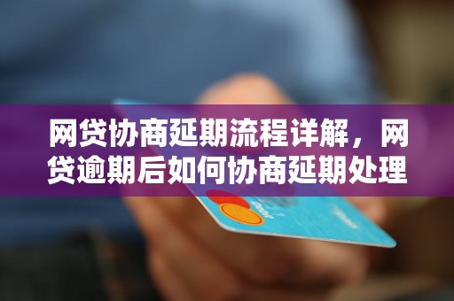 网贷协商延期流程详解，网贷逾期后如何协商延期处理