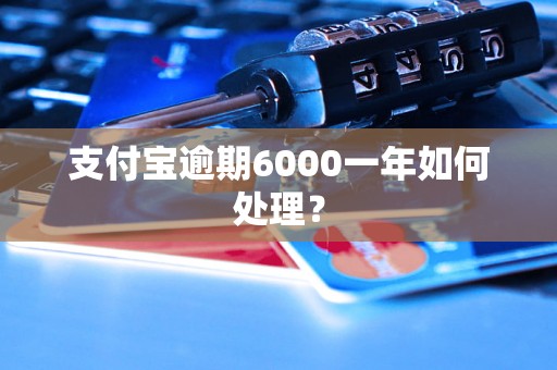 支付宝逾期6000一年如何处理？