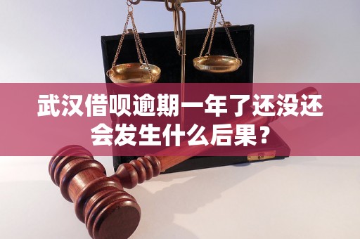 武汉借呗逾期一年了还没还会发生什么后果？