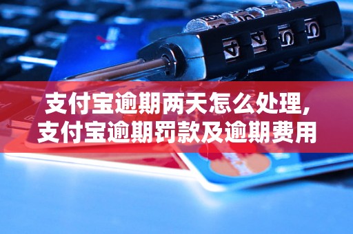 支付宝逾期两天怎么处理,支付宝逾期罚款及逾期费用详解