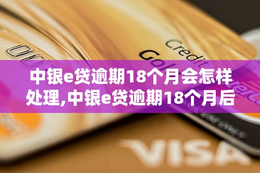 中银e贷逾期18个月会怎样处理,中银e贷逾期18个月后果严重吗