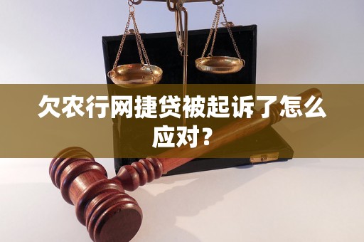 欠农行网捷贷被起诉了怎么应对？