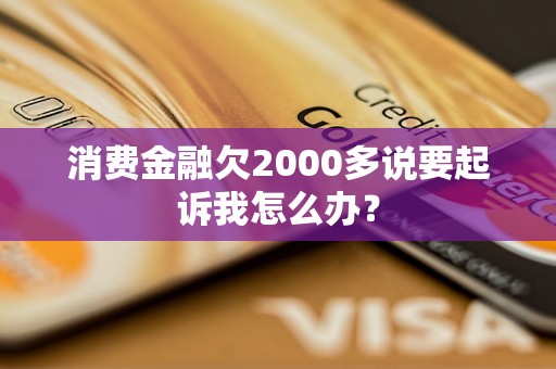 消费金融欠2000多说要起诉我怎么办？