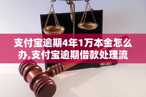 支付宝逾期4年1万本金怎么办,支付宝逾期借款处理流程详解