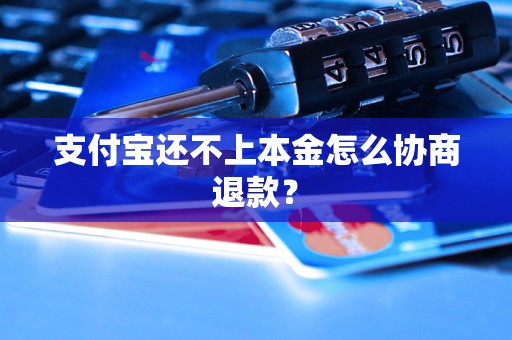 支付宝还不上本金怎么协商退款？