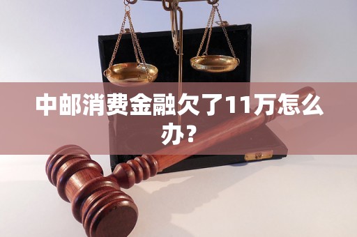 中邮消费金融欠了11万怎么办？