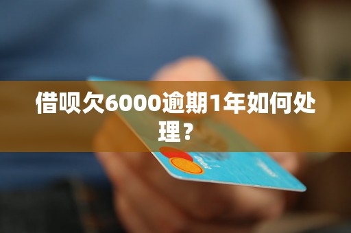 借呗欠6000逾期1年如何处理？