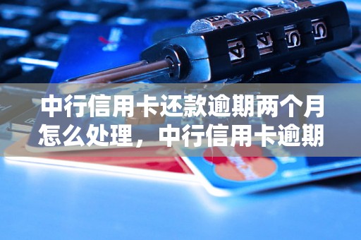 中行信用卡还款逾期两个月怎么处理，中行信用卡逾期费用怎么算