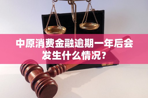 中原消费金融逾期一年后会发生什么情况？