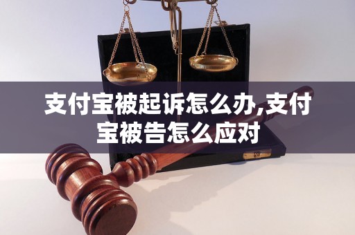 支付宝被起诉怎么办,支付宝被告怎么应对