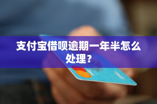 支付宝借呗逾期一年半怎么处理？