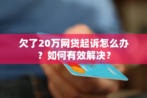 欠了20万网贷起诉怎么办？如何有效解决？