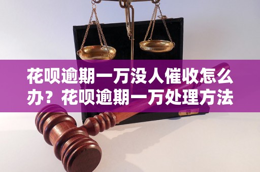 花呗逾期一万没人催收怎么办？花呗逾期一万处理方法分享