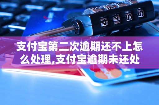 支付宝第二次逾期还不上怎么处理,支付宝逾期未还处理方法汇总