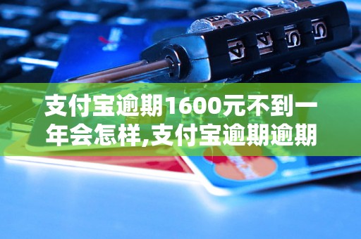 支付宝逾期1600元不到一年会怎样,支付宝逾期逾期罚款标准