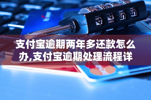 支付宝逾期两年多还款怎么办,支付宝逾期处理流程详解