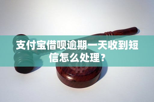 支付宝借呗逾期一天收到短信怎么处理？