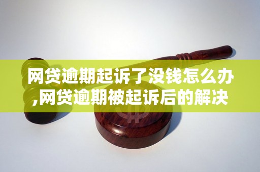 网贷逾期起诉了没钱怎么办,网贷逾期被起诉后的解决方法