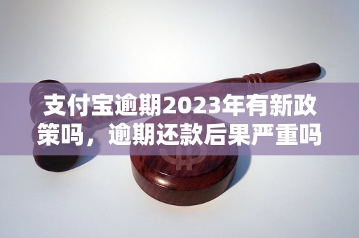 支付宝逾期2023年有新政策吗，逾期还款后果严重吗