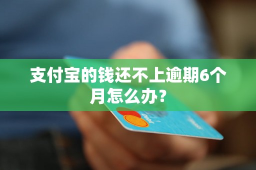 支付宝的钱还不上逾期6个月怎么办？