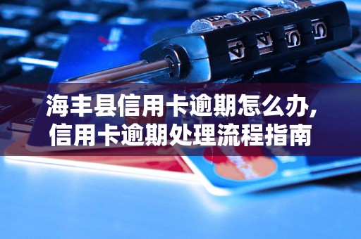 海丰县信用卡逾期怎么办,信用卡逾期处理流程指南