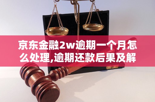 京东金融2w逾期一个月怎么处理,逾期还款后果及解决方法