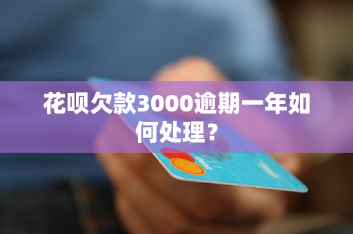 花呗欠款3000逾期一年如何处理？