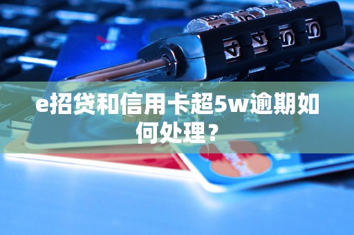 e招贷和信用卡超5w逾期如何处理？