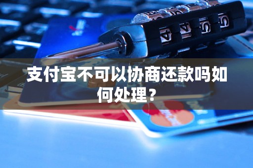 支付宝不可以协商还款吗如何处理？